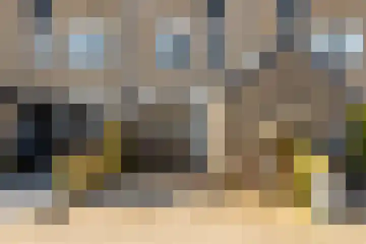 Boerhaavelaan 14 Schoonhoven thumbnail 64