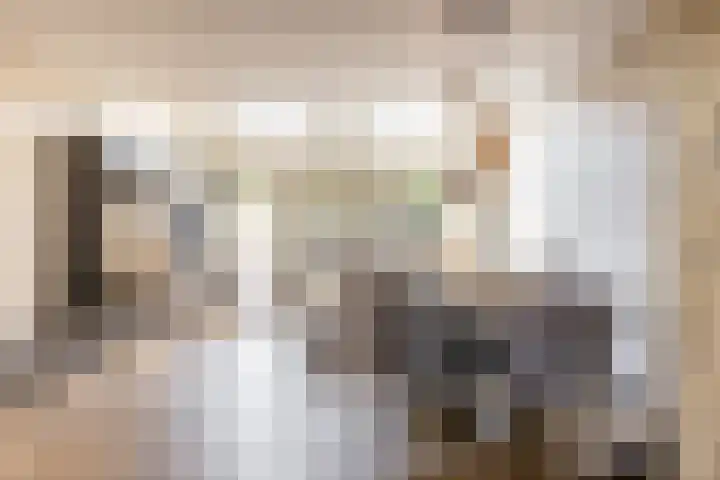 Boerhaavelaan 14 Schoonhoven thumbnail 7