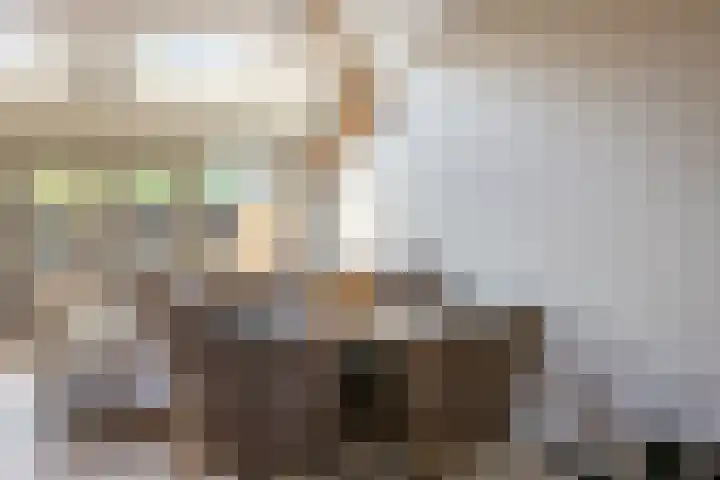 Boerhaavelaan 14 Schoonhoven thumbnail 8