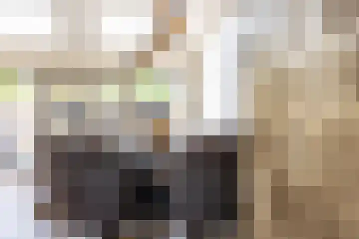 Boerhaavelaan 14 Schoonhoven thumbnail 9