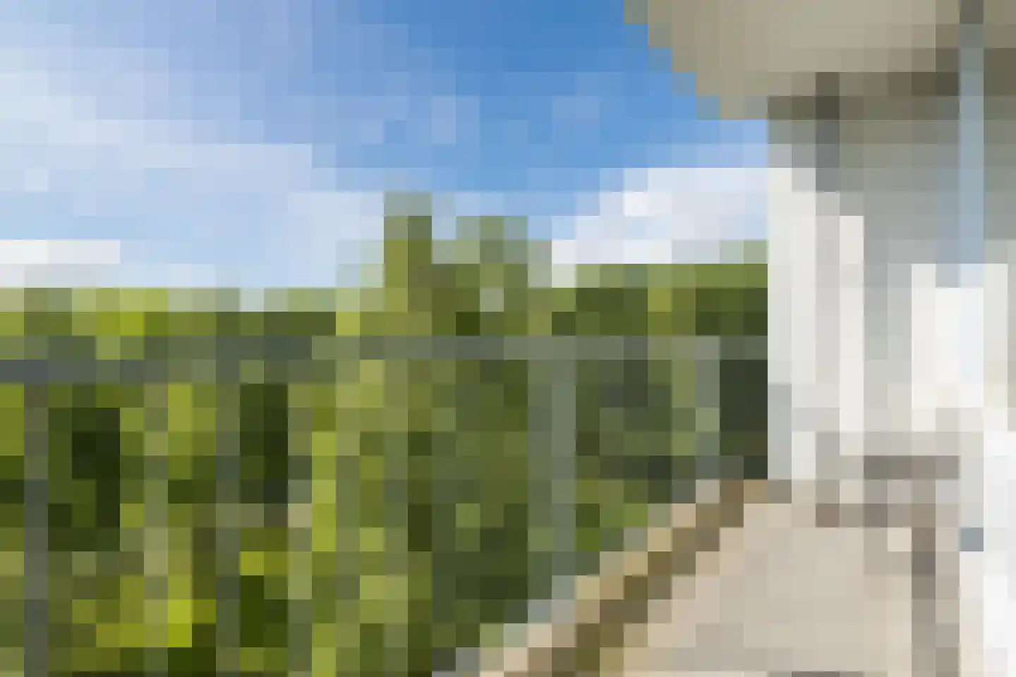 Boerhaavelaan 141 Oosterhout thumbnail 26