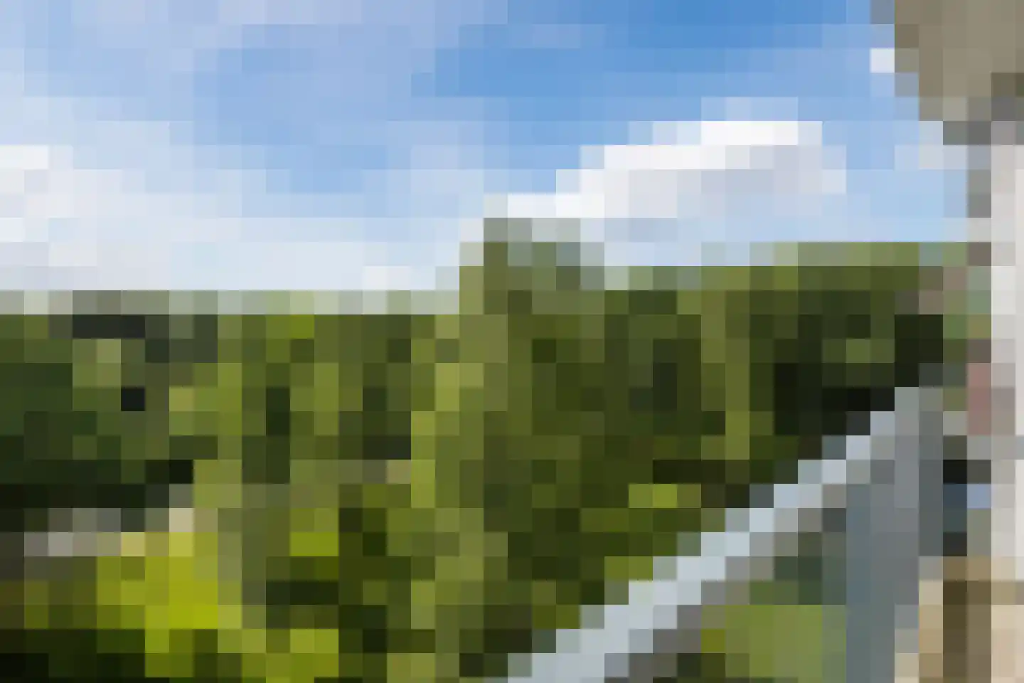 Boerhaavelaan 141 Oosterhout thumbnail 28