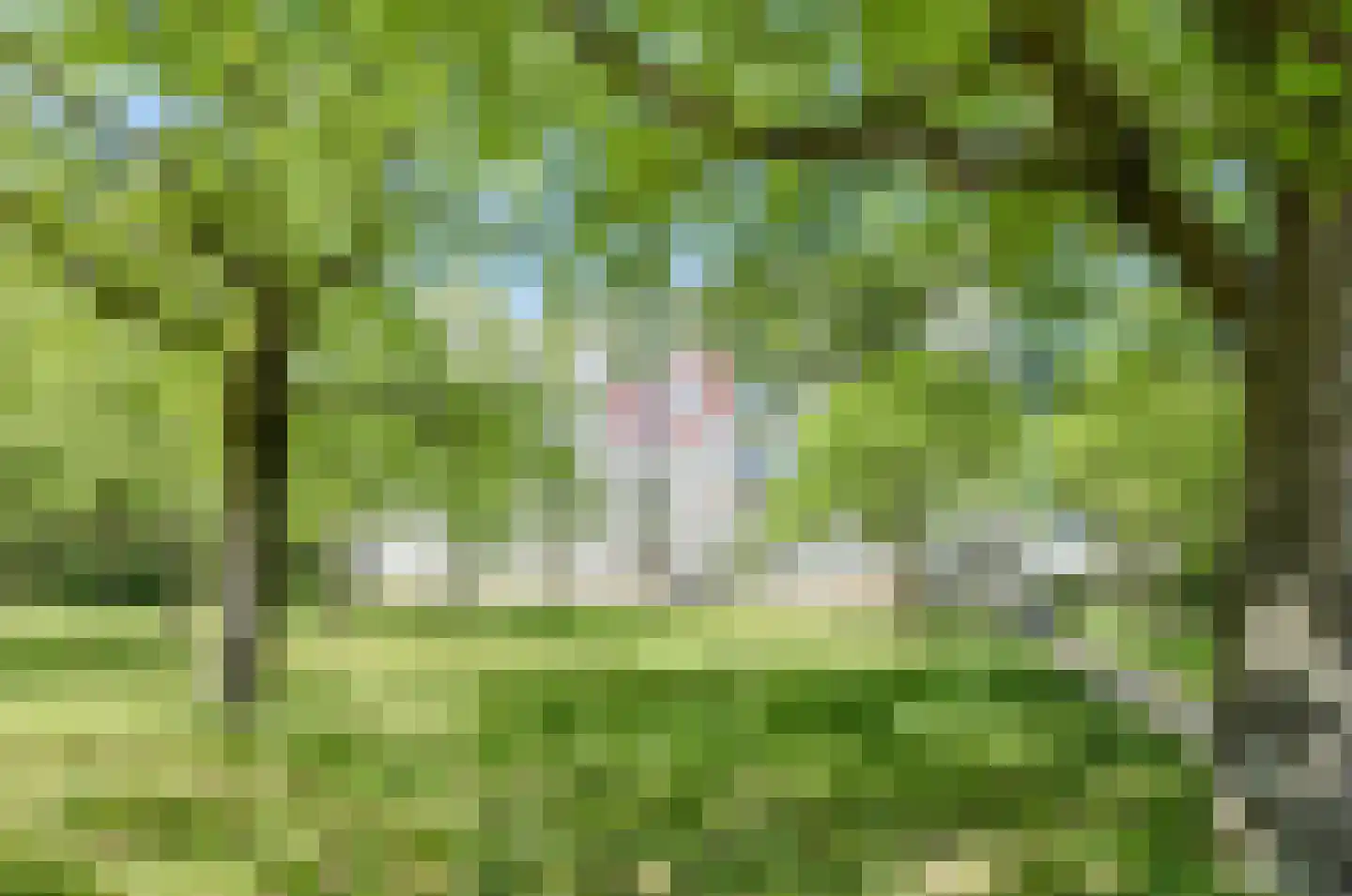 Boerhaavelaan 143 Oosterhout thumbnail 29