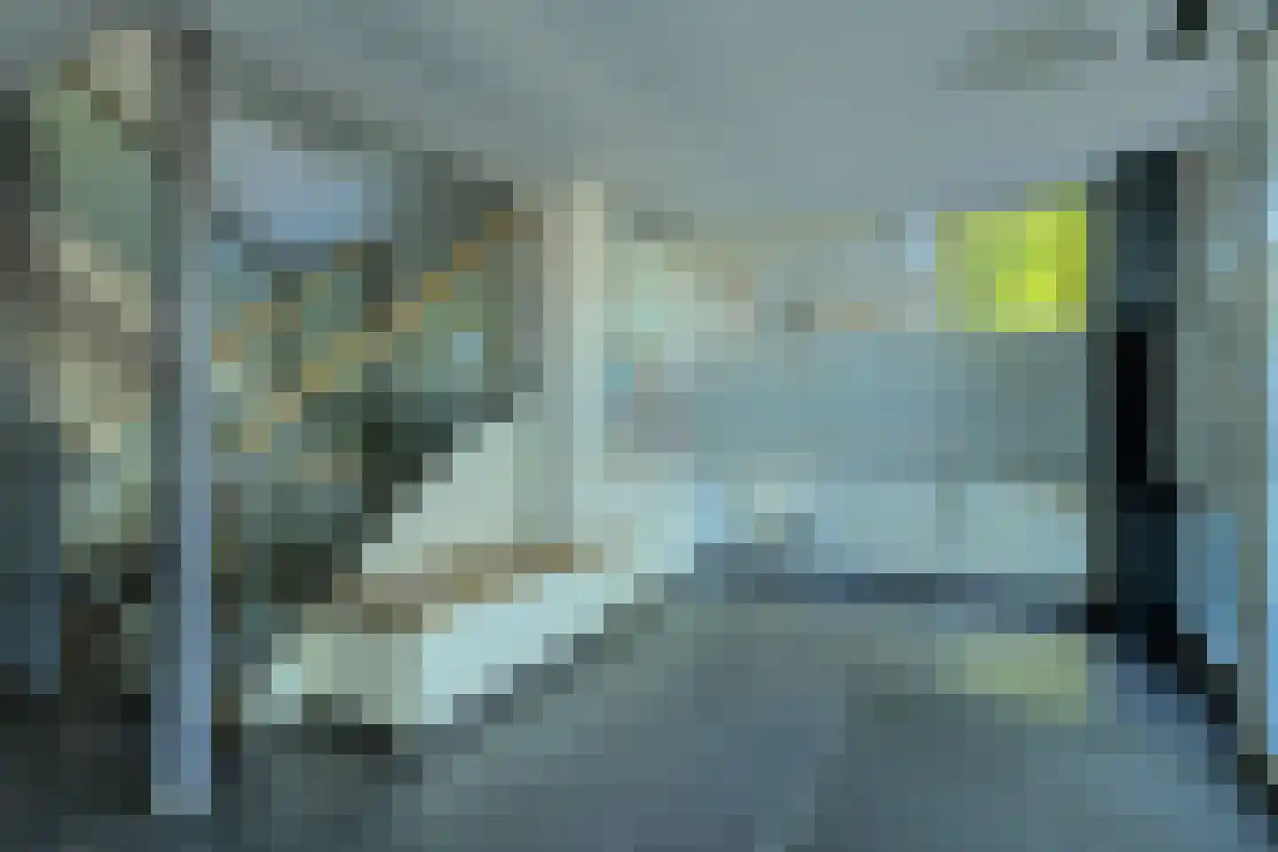 Boerhaavelaan 143 Oosterhout thumbnail 5