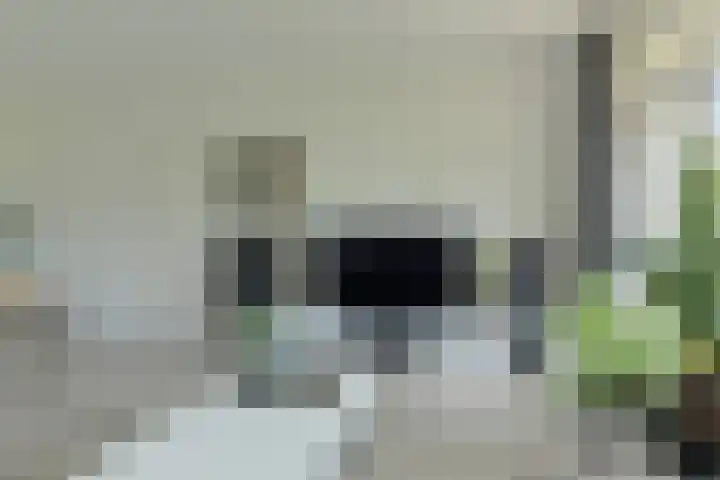 Boerhaavelaan 147 Oosterhout thumbnail 12