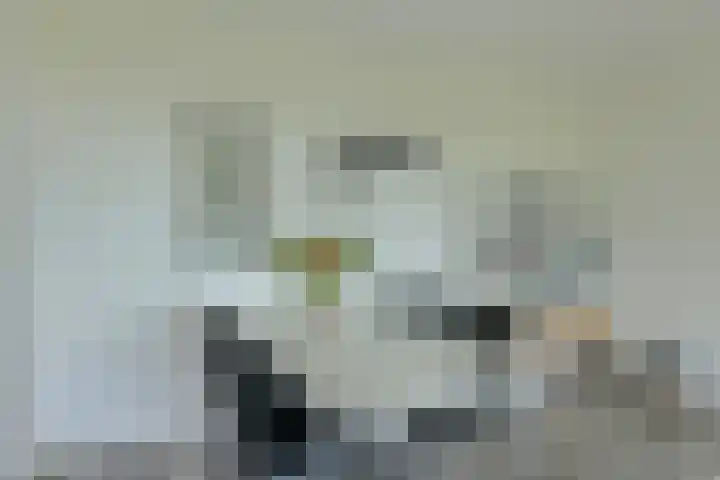 Boerhaavelaan 147 Oosterhout thumbnail 14
