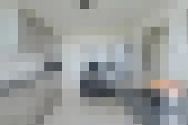 Boerhaavelaan 147 Oosterhout thumbnail 21