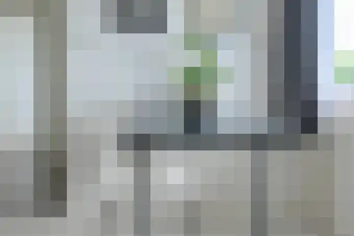Boerhaavelaan 147 Oosterhout thumbnail 23