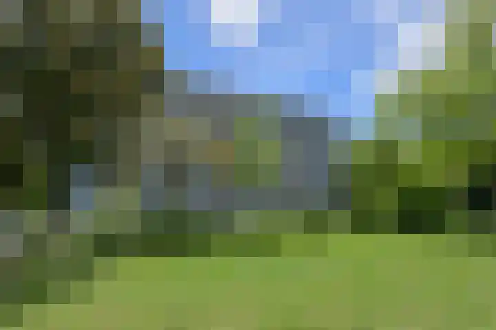 Boerhaavelaan 147 Oosterhout thumbnail 35