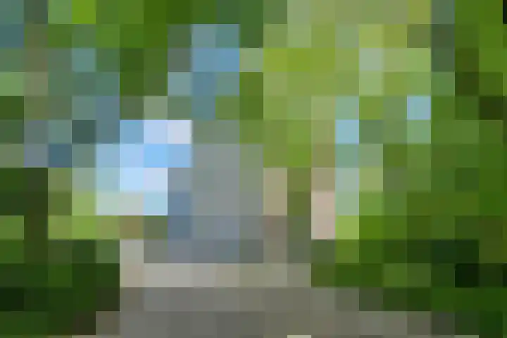 Boerhaavelaan 147 Oosterhout thumbnail 36
