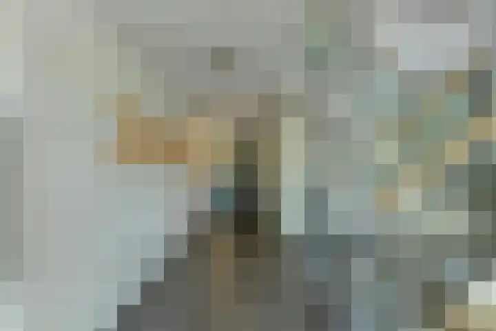 Boerhaavelaan 147 Oosterhout thumbnail 40