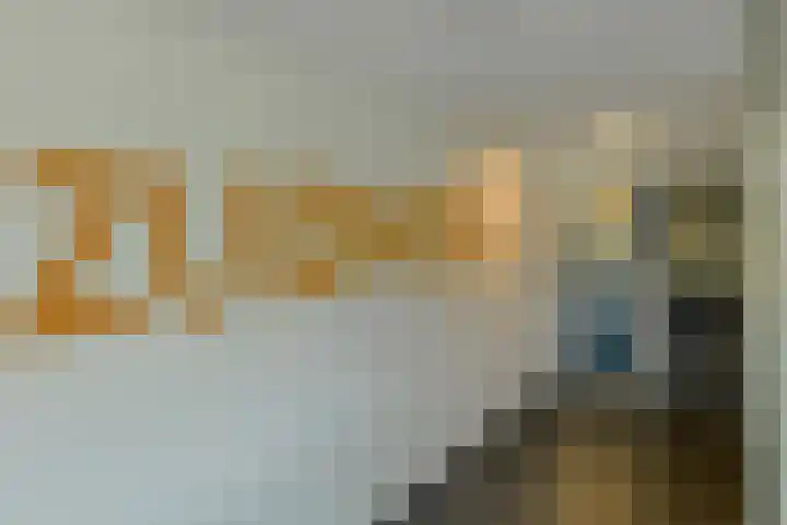 Boerhaavelaan 147 Oosterhout thumbnail 41