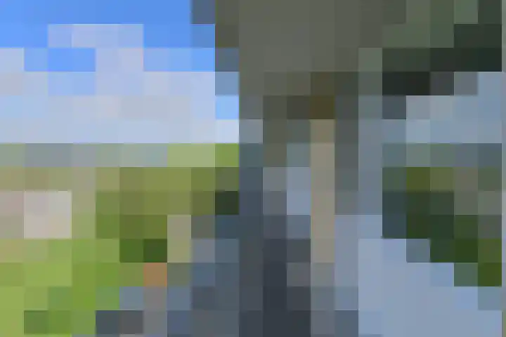 Boerhaavelaan 147 Oosterhout thumbnail 42