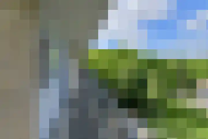 Boerhaavelaan 147 Oosterhout thumbnail 43