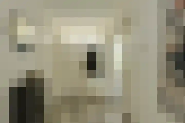 Boerhaavelaan 147 Oosterhout thumbnail 6