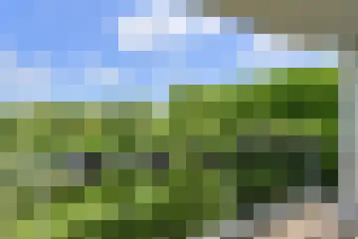 Boerhaavelaan 147 Oosterhout thumbnail 9