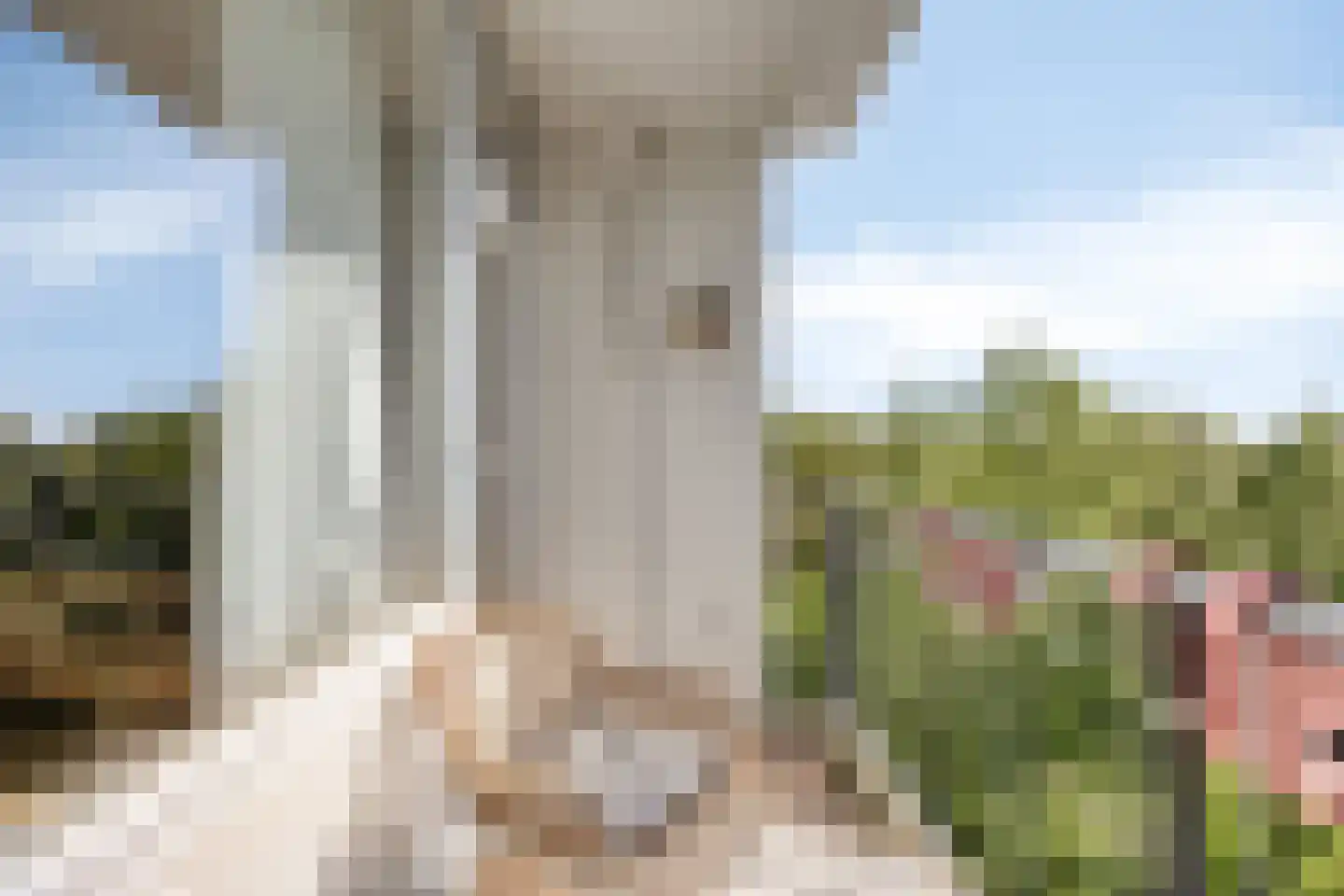 Boerhaavelaan 149 Oosterhout thumbnail 10