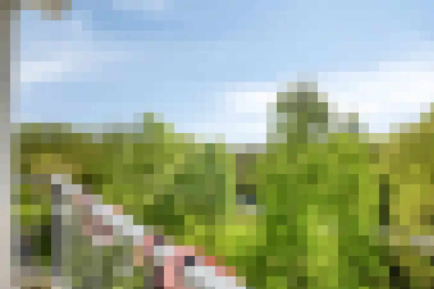 Boerhaavelaan 149 Oosterhout thumbnail 11