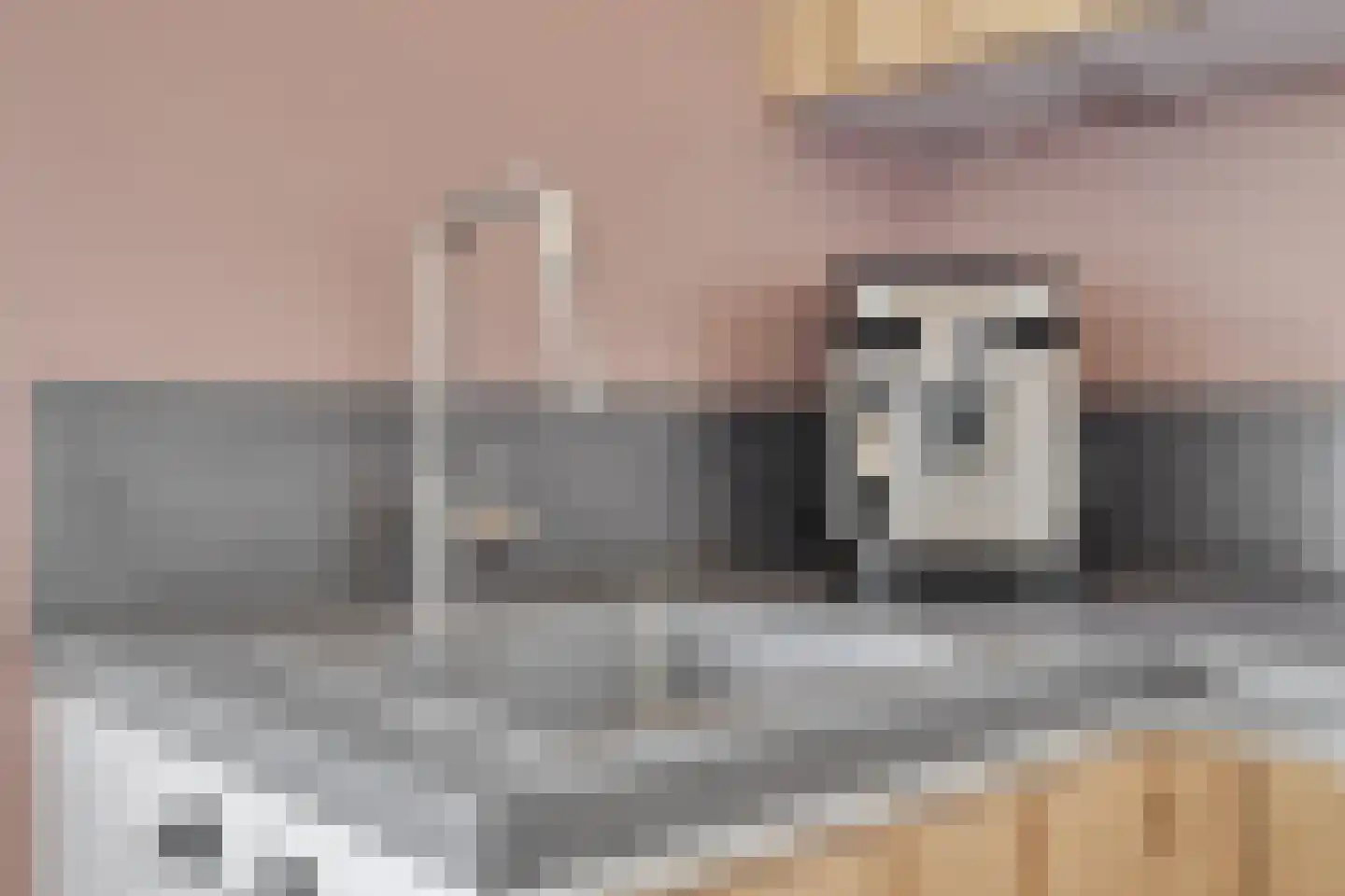 Boerhaavelaan 149 Oosterhout thumbnail 16