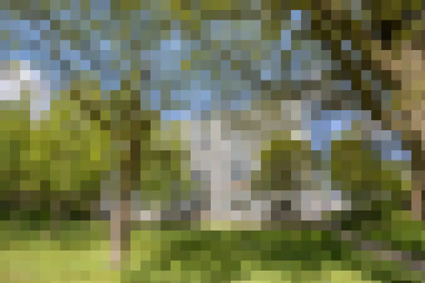 Boerhaavelaan 149 Oosterhout thumbnail 36