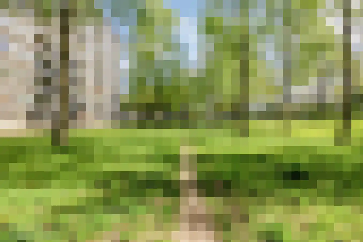 Boerhaavelaan 149 Oosterhout thumbnail 37