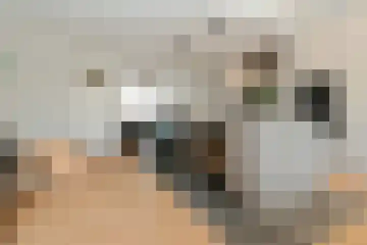 Boerhaavelaan 15 Eindhoven thumbnail 10