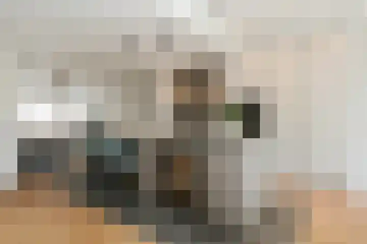 Boerhaavelaan 15 Eindhoven thumbnail 11