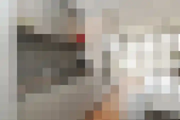 Boerhaavelaan 15 Eindhoven thumbnail 13