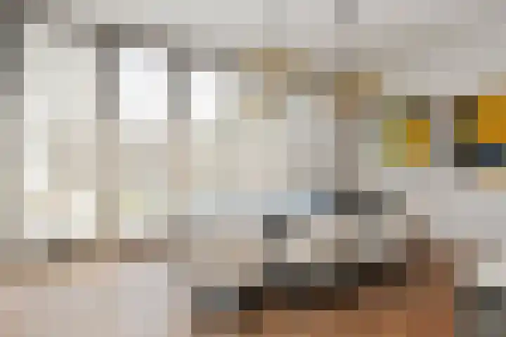 Boerhaavelaan 15 Eindhoven thumbnail 15
