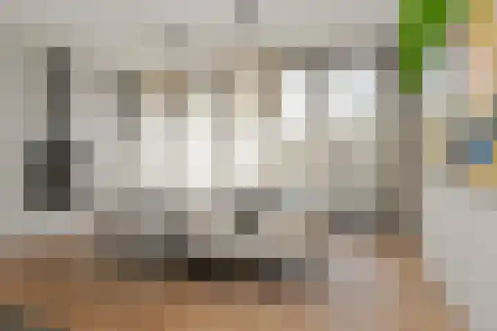 Boerhaavelaan 15 Eindhoven thumbnail 16
