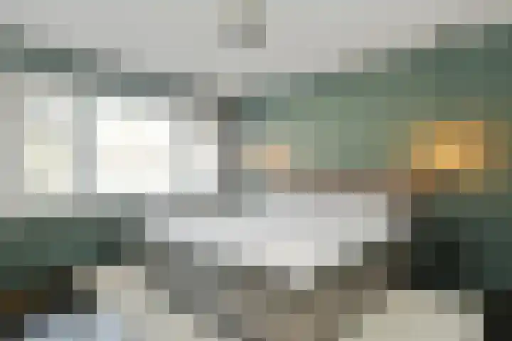 Boerhaavelaan 15 Eindhoven thumbnail 24
