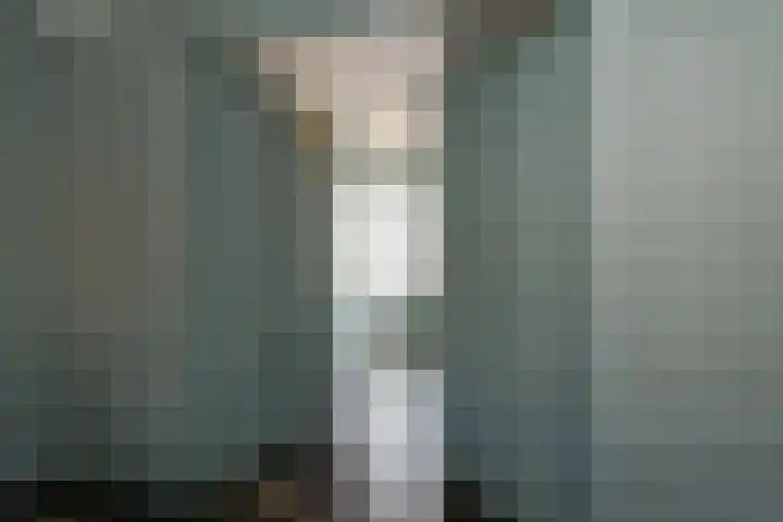 Boerhaavelaan 15 Eindhoven thumbnail 27