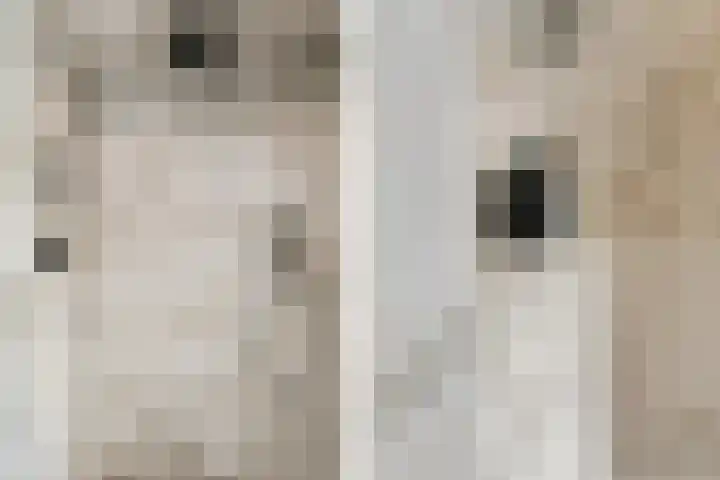 Boerhaavelaan 15 Eindhoven thumbnail 31