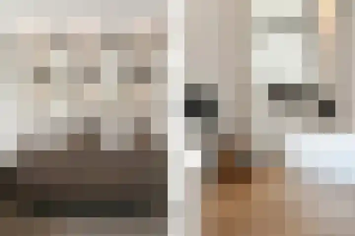 Boerhaavelaan 15 Eindhoven thumbnail 32