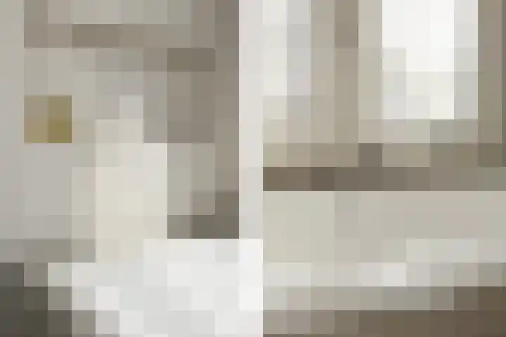 Boerhaavelaan 15 Eindhoven thumbnail 33