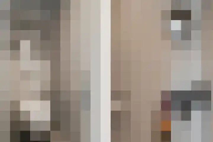 Boerhaavelaan 15 Eindhoven thumbnail 35