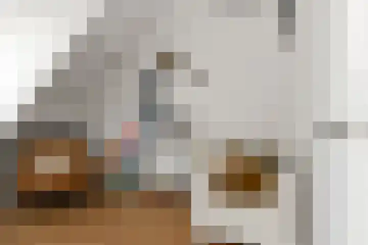 Boerhaavelaan 15 Eindhoven thumbnail 37