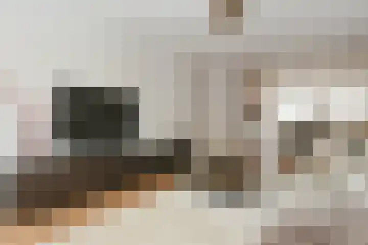 Boerhaavelaan 15 Eindhoven thumbnail 4