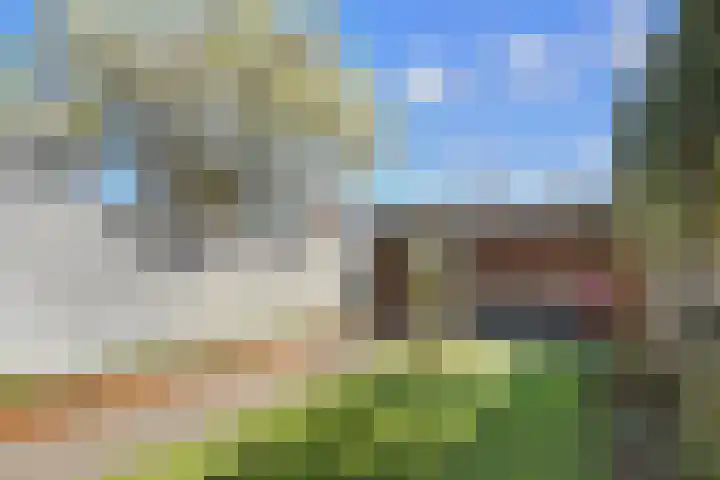 Boerhaavelaan 15 Eindhoven thumbnail 41
