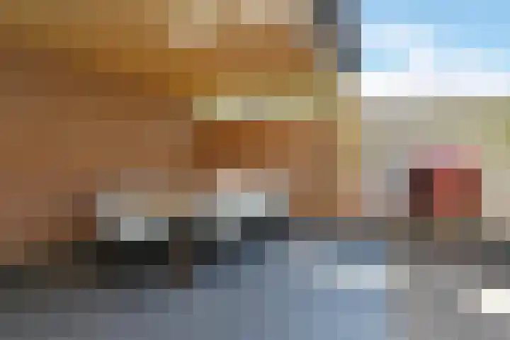 Boerhaavelaan 15 Eindhoven thumbnail 42
