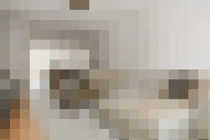 Boerhaavelaan 15 Eindhoven thumbnail 6