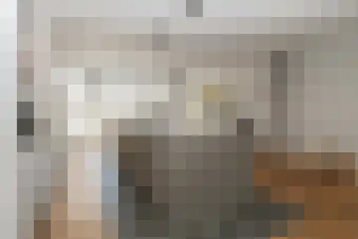 Boerhaavelaan 15 Eindhoven thumbnail 7