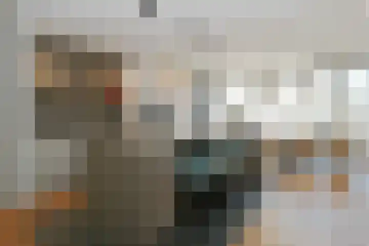 Boerhaavelaan 15 Eindhoven thumbnail 9
