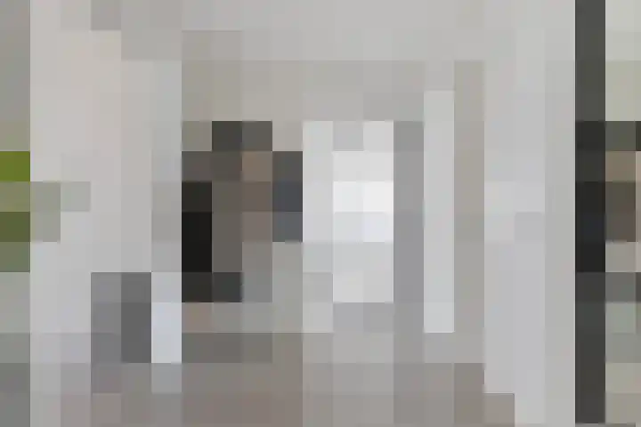 Boerhaavelaan 155 Helmond thumbnail 12