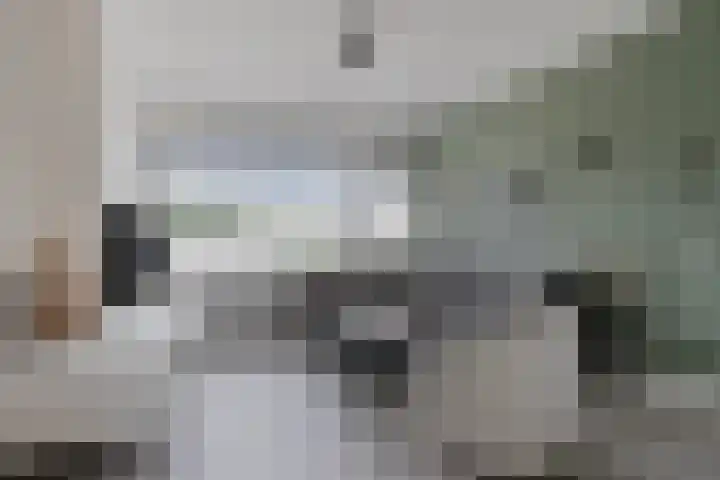 Boerhaavelaan 155 Helmond thumbnail 13