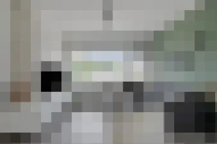 Boerhaavelaan 155 Helmond thumbnail 15