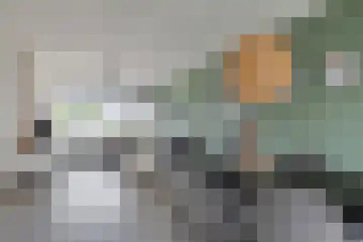 Boerhaavelaan 155 Helmond thumbnail 16