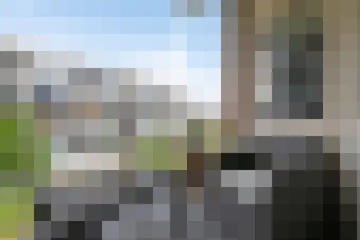 Boerhaavelaan 155 Helmond thumbnail 17