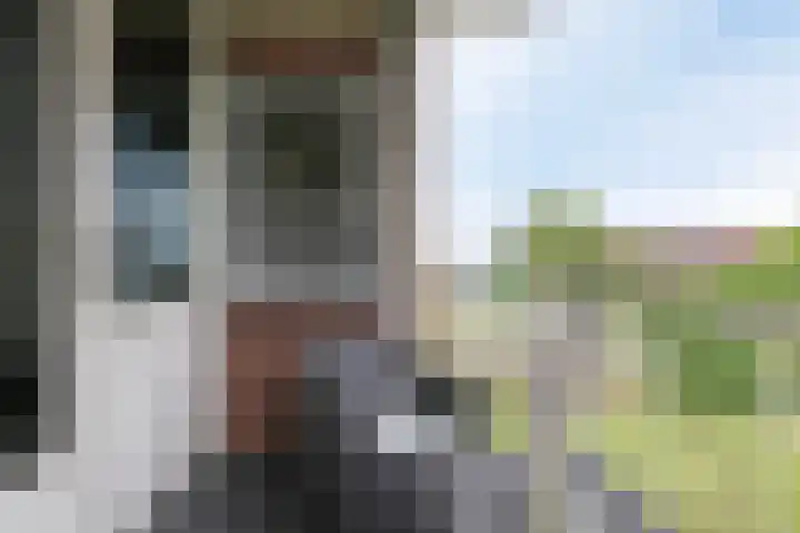 Boerhaavelaan 155 Helmond thumbnail 18