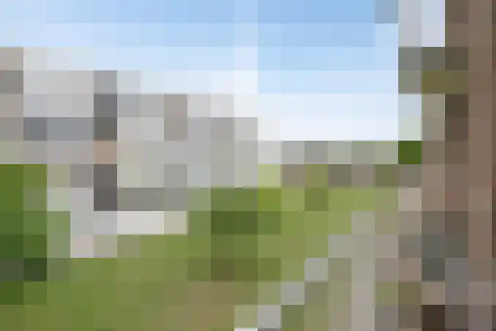 Boerhaavelaan 155 Helmond thumbnail 20